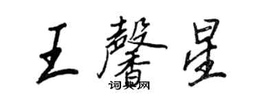 王正良王馨星行書個性簽名怎么寫