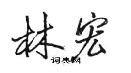 駱恆光林宏行書個性簽名怎么寫