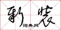 王冬齡新裝草書怎么寫