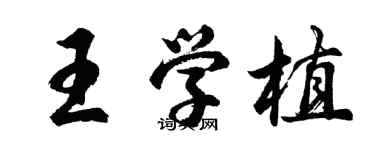 胡問遂王學植行書個性簽名怎么寫