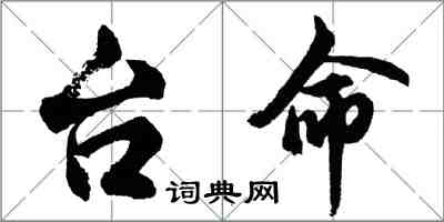 胡問遂台命行書怎么寫