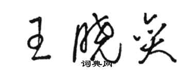 駱恆光王曉奕草書個性簽名怎么寫