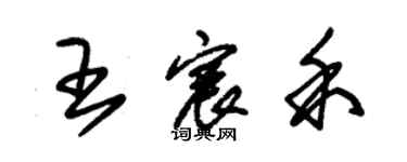 朱錫榮王宸禾草書個性簽名怎么寫