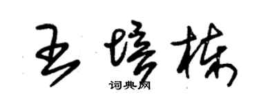 朱錫榮王培棟草書個性簽名怎么寫