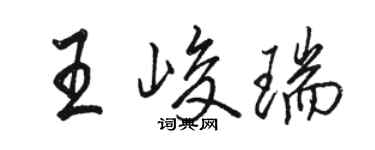駱恆光王峻瑞行書個性簽名怎么寫