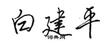 駱恆光白建平行書個性簽名怎么寫
