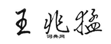駱恆光王兆猛行書個性簽名怎么寫