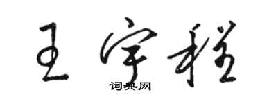 駱恆光王宇程草書個性簽名怎么寫