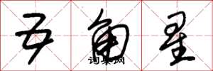 朱錫榮五角星草書怎么寫