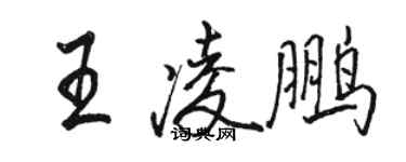 駱恆光王凌鵬行書個性簽名怎么寫