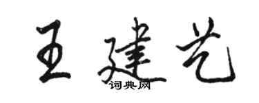 駱恆光王建藝行書個性簽名怎么寫