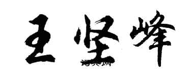 胡問遂王堅峰行書個性簽名怎么寫