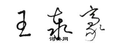 駱恆光王泰豪草書個性簽名怎么寫