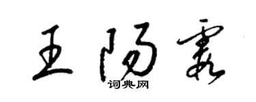 梁錦英王陽霞草書個性簽名怎么寫