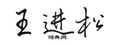 駱恆光王進松行書個性簽名怎么寫