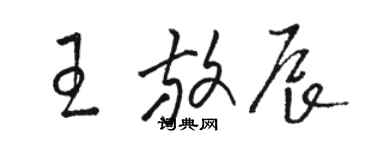 駱恆光王放辰草書個性簽名怎么寫