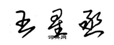 朱錫榮王星丞草書個性簽名怎么寫