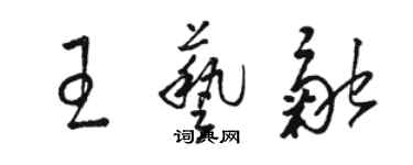 駱恆光王藝融草書個性簽名怎么寫