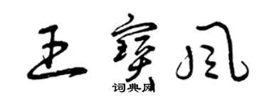 曾慶福王寶風草書個性簽名怎么寫