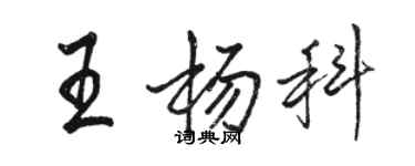 駱恆光王楊科行書個性簽名怎么寫