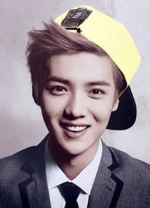 我愛鹿晗_我愛鹿晗作文