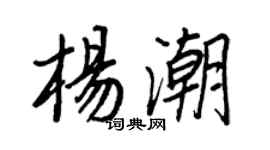 王正良楊潮行書個性簽名怎么寫