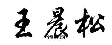 胡問遂王晨松行書個性簽名怎么寫