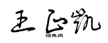 曾慶福王正凱草書個性簽名怎么寫