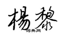 王正良楊黎行書個性簽名怎么寫