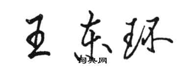 駱恆光王東環行書個性簽名怎么寫