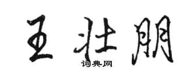 駱恆光王壯朋行書個性簽名怎么寫