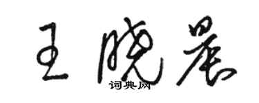 駱恆光王曉晨草書個性簽名怎么寫