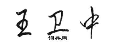 駱恆光王衛中行書個性簽名怎么寫