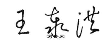 駱恆光王泰洪草書個性簽名怎么寫