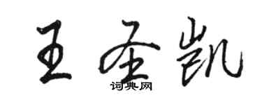 駱恆光王聖凱行書個性簽名怎么寫