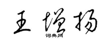 梁錦英王增揚草書個性簽名怎么寫