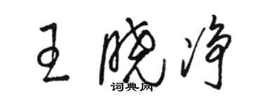 駱恆光王曉淨草書個性簽名怎么寫