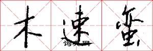 木速蠻怎么寫好看