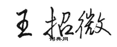 駱恆光王招微行書個性簽名怎么寫