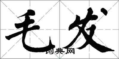 翁闓運毛髮楷書怎么寫