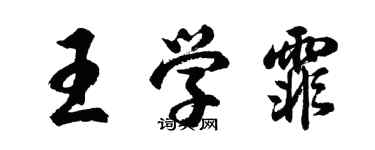 胡問遂王學霏行書個性簽名怎么寫