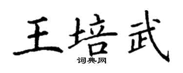 丁謙王培武楷書個性簽名怎么寫