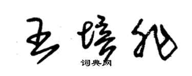 朱錫榮王培非草書個性簽名怎么寫