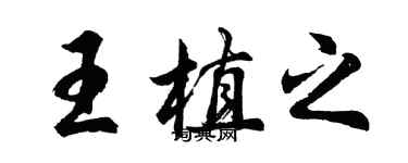 胡問遂王植之行書個性簽名怎么寫