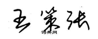 朱錫榮王策張草書個性簽名怎么寫