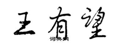 曾慶福王有望行書個性簽名怎么寫