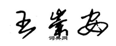 朱錫榮王崇安草書個性簽名怎么寫