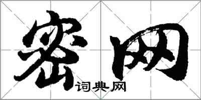 胡問遂密網行書怎么寫