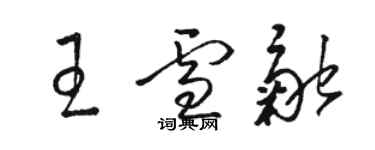 駱恆光王雪融草書個性簽名怎么寫