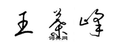 梁錦英王葉峰草書個性簽名怎么寫
